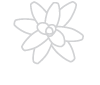 Bromelia Produções